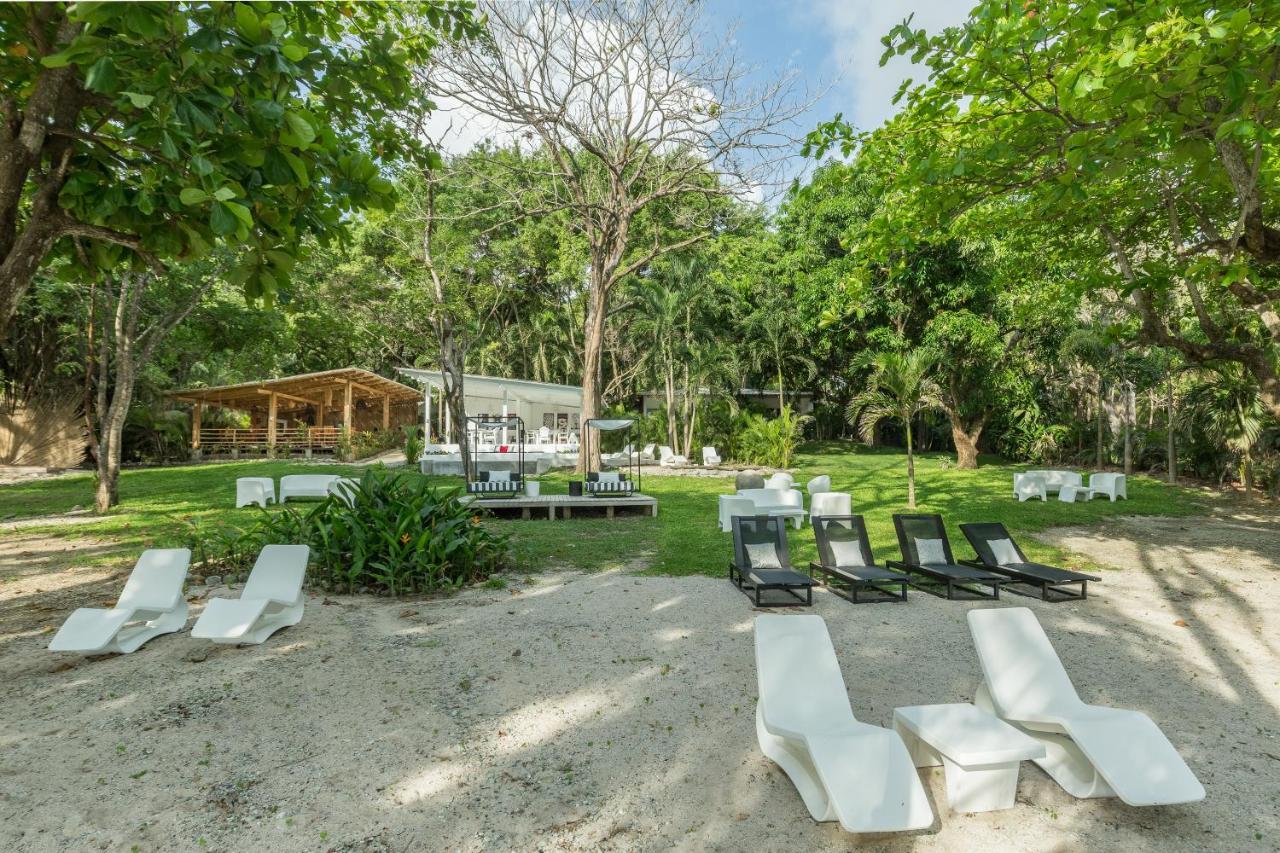Gigi Brown Beachfront Santa Teresa Маль-Паис Экстерьер фото